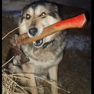 kapibebro4ka